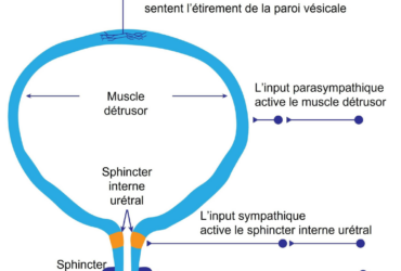Design sans titre (14)